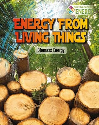 Energy from Living Things: Biomass Energy (Stuckey Rachel)(Paperback)