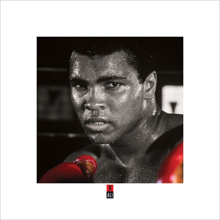 PYRAMID Umělecký tisk Muhammad Ali Boxing S., (40 x 40 cm)
