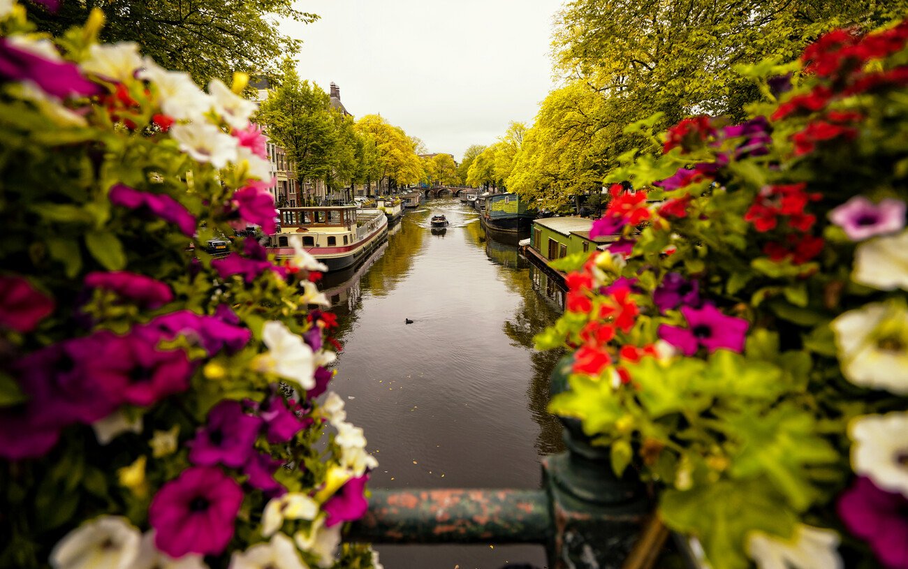 Merthan Kortan Umělecká fotografie Floral in Amsterdam, Merthan Kortan, (40 x 24.6 cm)