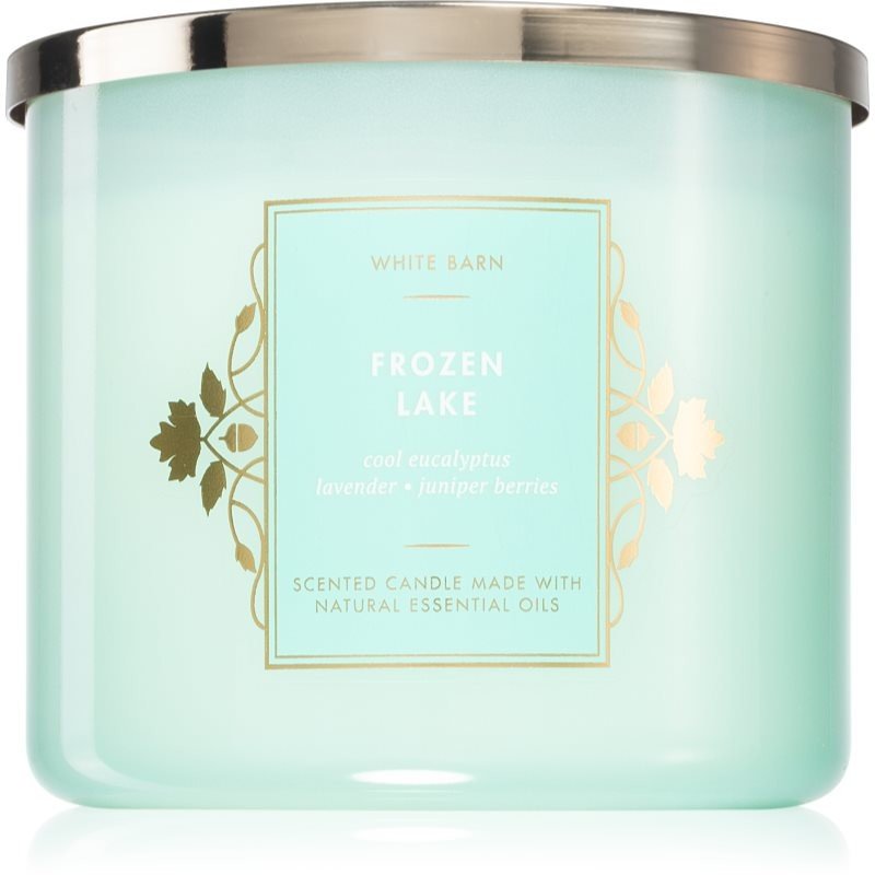 Bath & Body Works Frozen Lake vonná svíčka 411 g