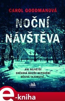 Noční návštěva - Caroll Goodman