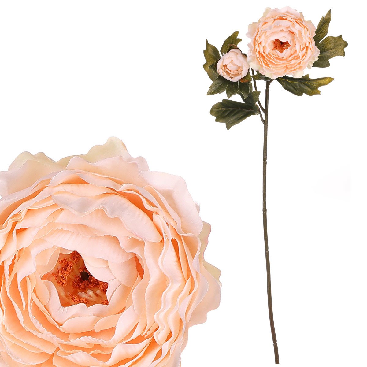 Ranunkulus, krémová barva UKK353 CRM