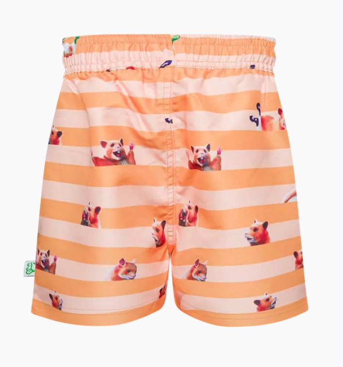 Veselé chlapecké plavky Dedoles Křeček a pásky (D-K-BW-SSH-C-RP-1669) 4-6 let