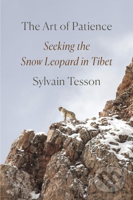 The Art of Patience - Sylvain Tesson