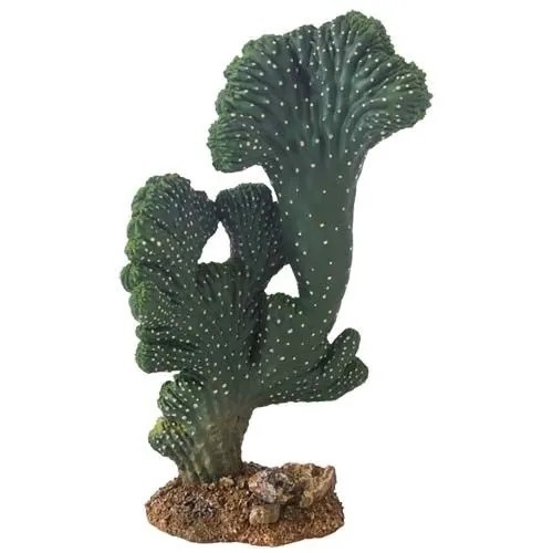 Hobby Terraristic Hobby Kaktus Viktorie 22cm