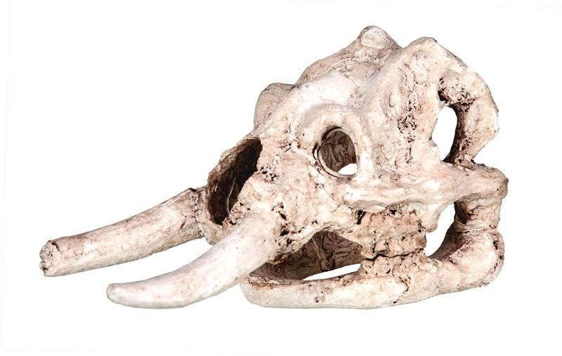 Akvarijní dekorace Happet R111 lebka mamuta 11,5cm