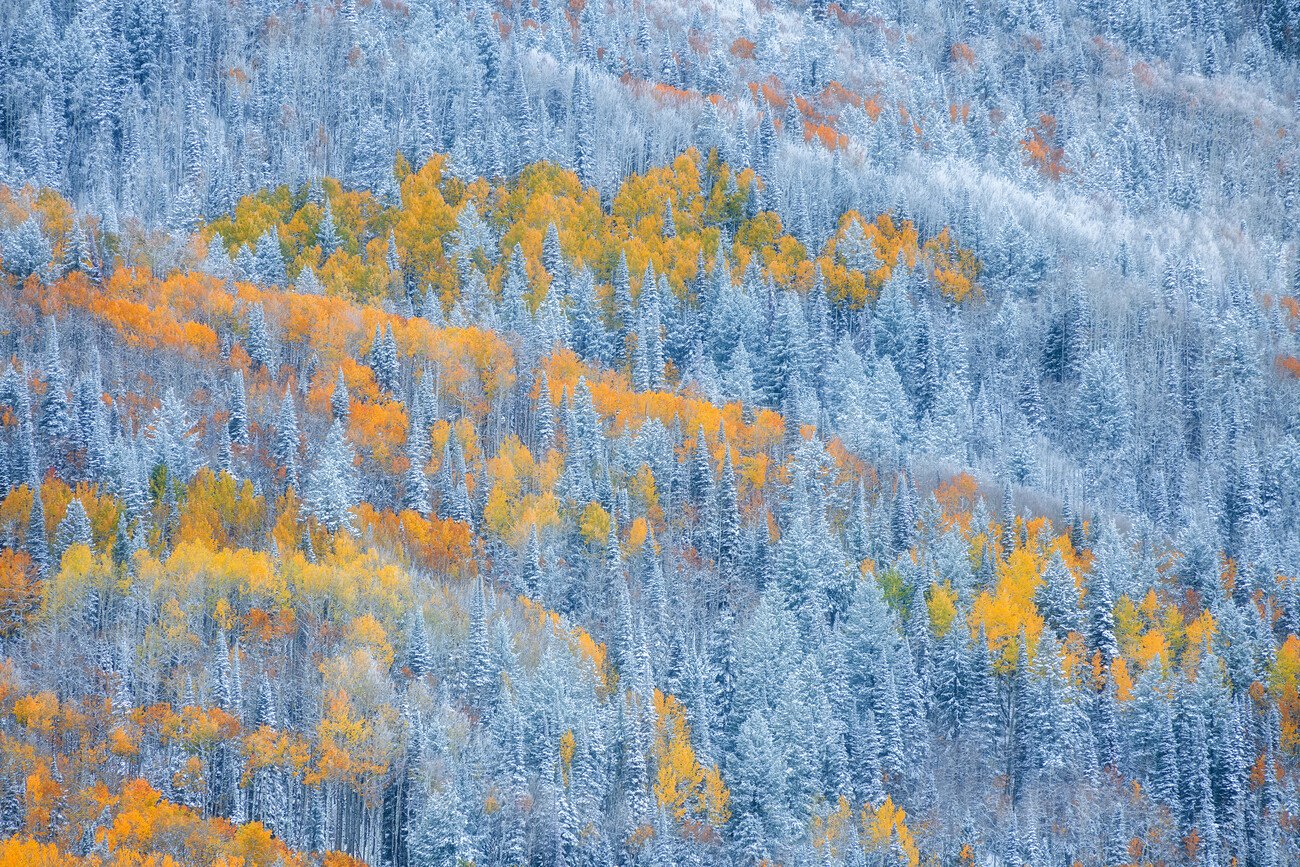 Mei Xu Umělecká fotografie Transition of Seasons, Mei Xu, (40 x 26.7 cm)