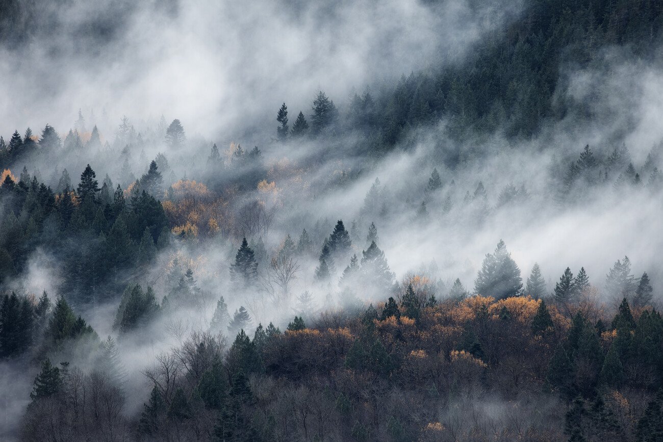 Tomomi Yamada Umělecká fotografie A path of the fog, Tomomi Yamada, (40 x 26.7 cm)