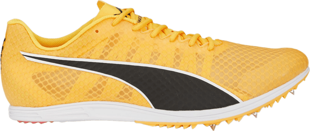 Tretry Puma evoSPEED Distance 11