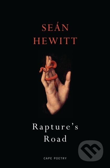 Rapture's Road - Seán Hewitt