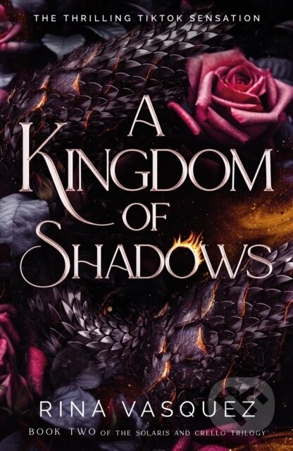 A Kingdom of Shadows - Rina Vasquez