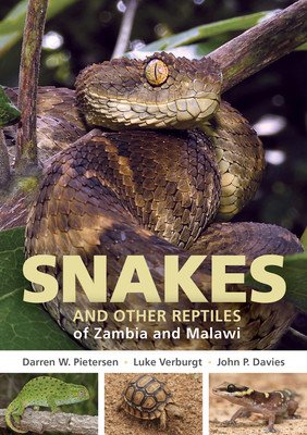 Field Guide to Snakes and Other Reptiles of Zambia and Malawi (Pietersen Darren W.)(Paperback)