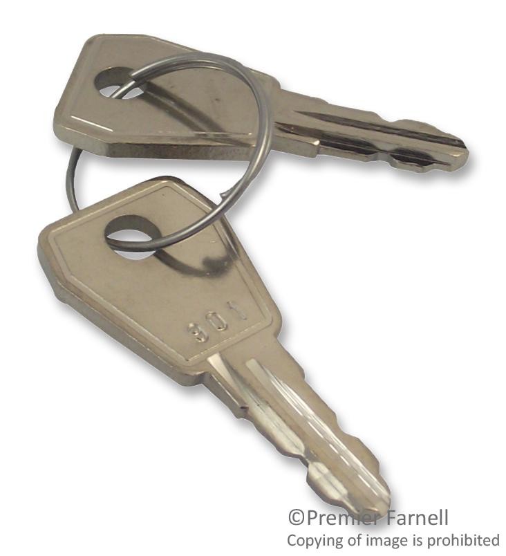 Lorlin 901 Key, Spare, Common, (Pair)