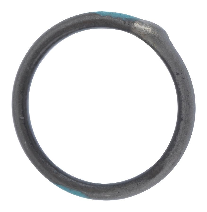 Raychem - Te Connectivity Tr06Bi-Tinel-Lock-Ring Tinel-Lock Ring, Size 6, Nickel/titanium