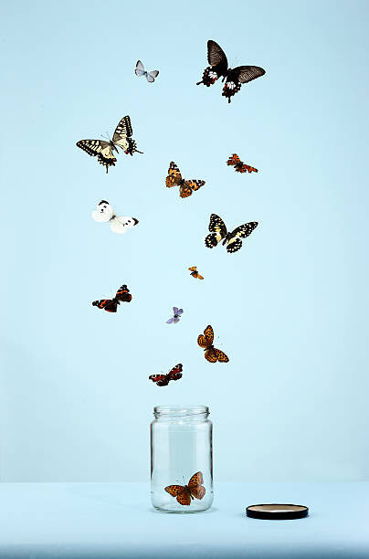 Martin Poole Umělecká fotografie butterflies escaping from jar, Martin Poole, (26.7 x 40 cm)