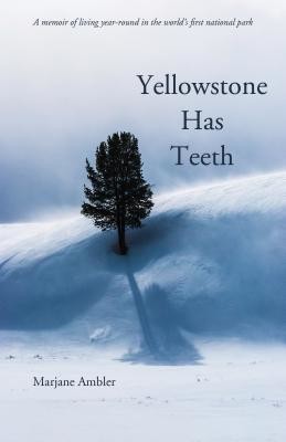 Yellowstone Has Teeth: A Memoir of Living in Yellowstone (Ambler Marjane)(Paperback)