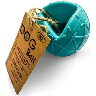 Saenger míček pro psy Non-toxic tyrkysová-8043990