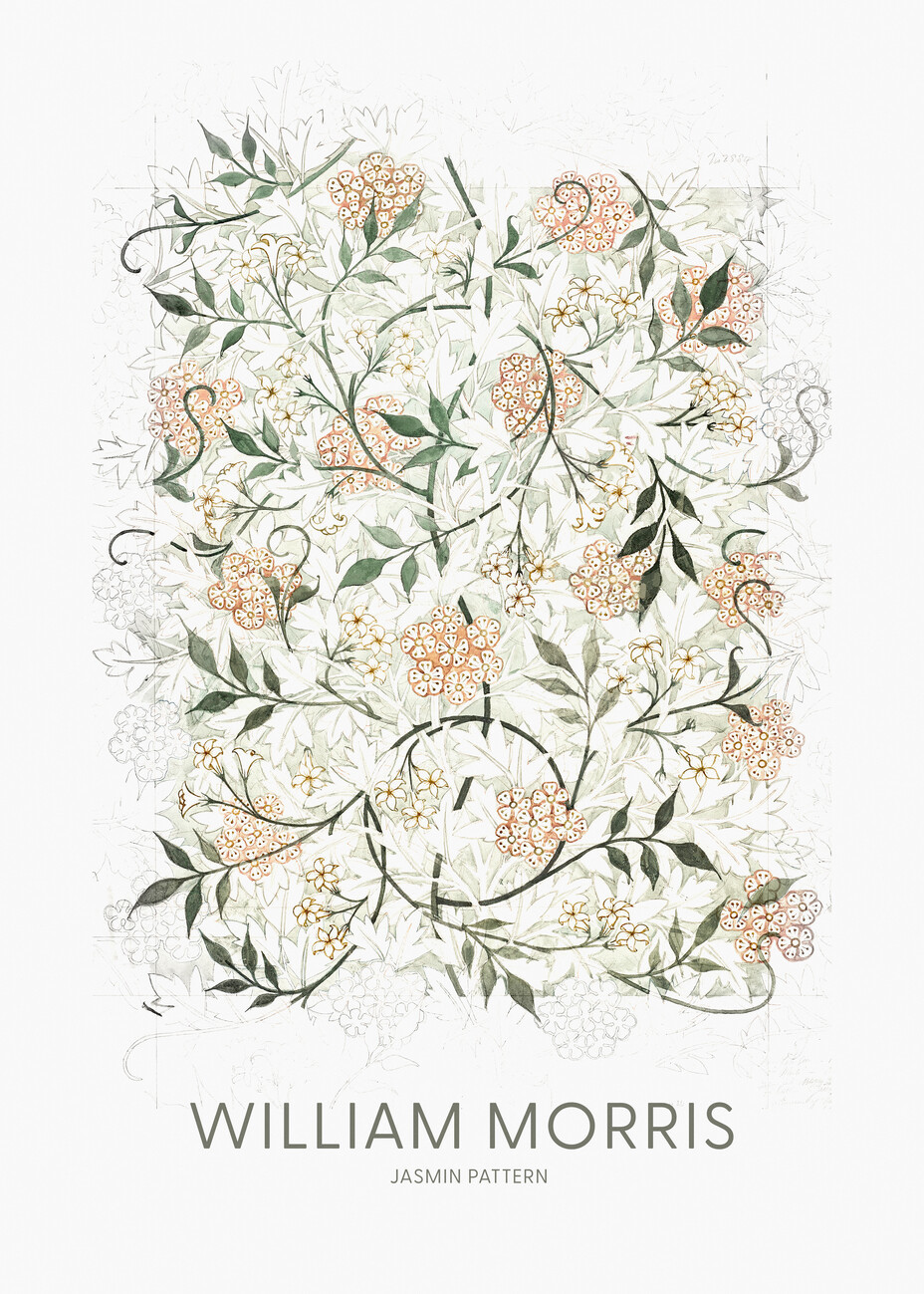 William Morris Ilustrace Jasmine, William Morris, (30 x 40 cm)