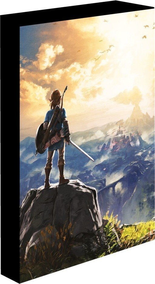 Obraz LED svítící 30x40 cm, Zelda - EPEE Merch - STOR