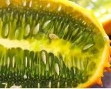 Kiwano - africký meloun (rostlina: cucumis metuliferus) - semena kiwana 10 ks *