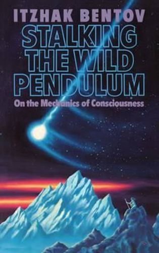 Stalking the Wild Pendulum - Benton Jicchak