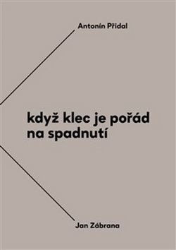 Když klec je pořád na spadnutí - Vzájemná korespondence Antonína Přidala a Jana Zábrany z let 1963-1984 - Opelík Jiří