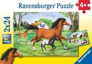 Puzzle Svět koní, 2x24 dílků - Ravensburger