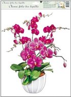 Anděl Okenní fólie - orchideje - 42 x 30 cm - 887