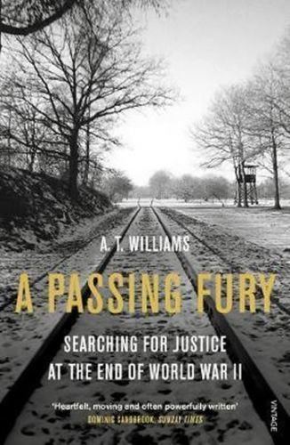 A Passing Fury - Williams A. T.