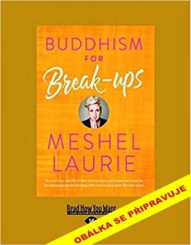 Buddhismus pro rozchody - Laurieová Meshel