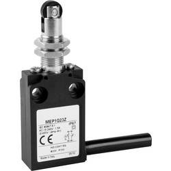 Koncový spínač Panasonic MEP1G22Z, 24 V, 5 A, kladka, IP67, 1 ks