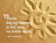 Magnet na lednici - Chvíle, kdy být šťastný, je teď, tady, na tomto místě. - Chinmoy Sri