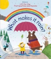 Q and A Why it Rain - Daynes Katie