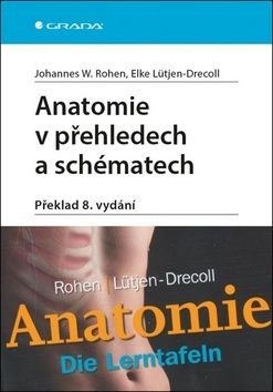 Anatomie v přehledech a schématech - Rohen W. Johannes, Lütjen-Drecoll Elke,