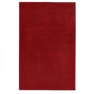 Červený koberec Hanse Home Pure, 300 x 400 cm