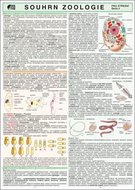 SOUHRN ZOOLOGIE pro SŠ A4 - Koubek Petr