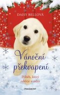 Vánoční překvapení - Příběh, který zahřeje u srdce
					 - Bellová Daisy