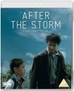 After the Storm