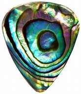 Timber Tones Abalone Tones Green Abalone Pick