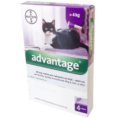 Advantage 80 10% pro kočky nad 4kg 4x0,8ml