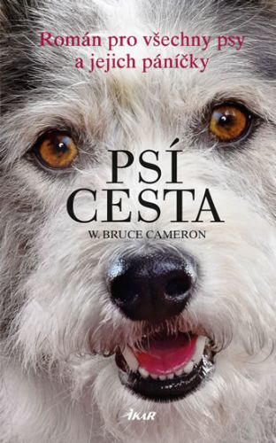 Psí cesta - Cameron Bruce W.