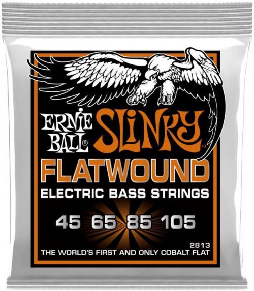 Ernie Ball 2813