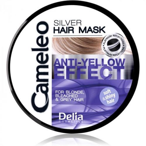Delia Cosmetics Cameleo Silver maska na vlasy neutralizující žluté tón