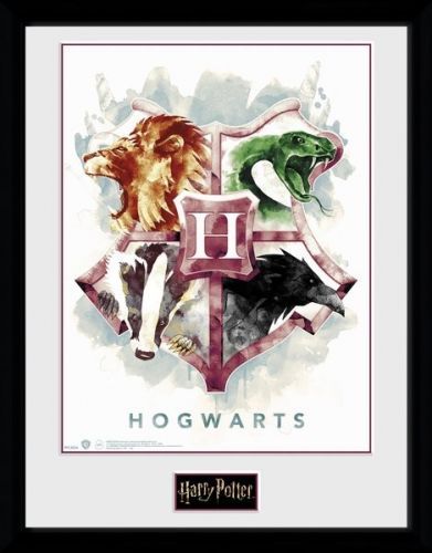 Harry Potter Hogwarts Water Colour 12 x 16 Inches Framed Photograph
