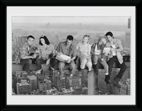 Friends on Girder 12 x 16 Inches Framed Photograph