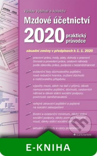 Mzdové účetnictví 2020 - Václav Vybíhal
