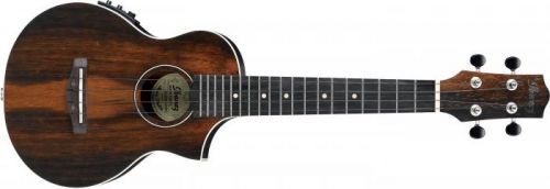 Ibanez UEW13MEE-DBO
