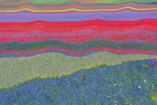 edoardogobattoni.net Ilustrace Abstract landscape 24, edoardogobattoni.net, (40 x 26.7 cm)