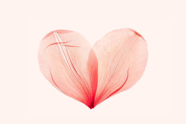 yrabota Ilustrace Abstract shape heart from pink red, yrabota, (40 x 26.7 cm)