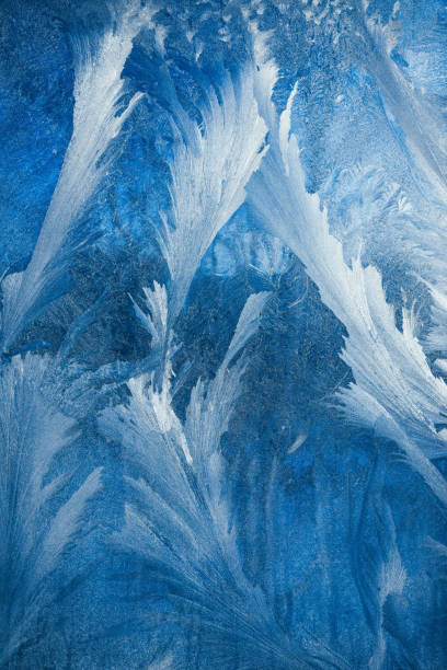 IRA_EVVA Ilustrace Frosty pattern on transparent background. Background, IRA_EVVA, (26.7 x 40 cm)